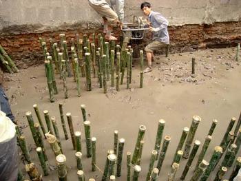 Phạm vi áp dụng của cọc tre